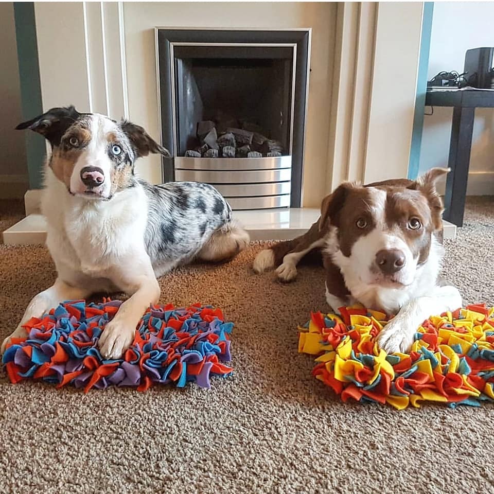 Which Snuffle Mat For Dogs is the BEST? (We Tested Them All