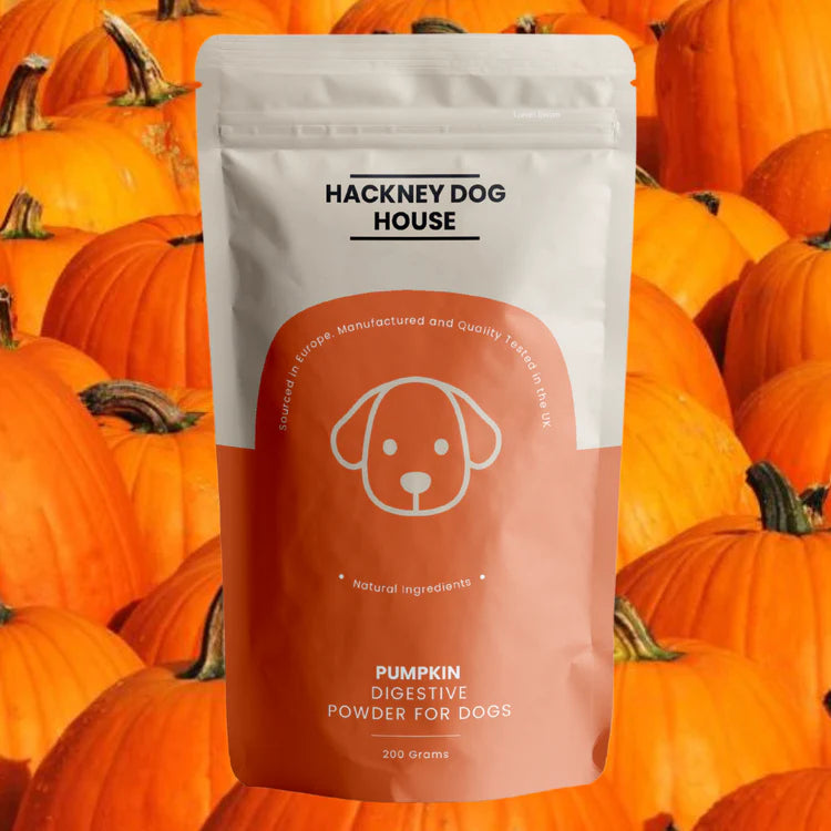 Natural pumpkin for 2024 dogs