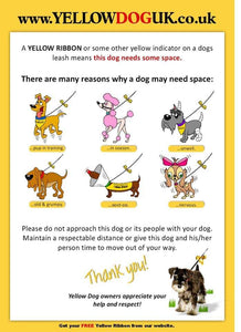 Yellow Dog Campaign - My dog needs space