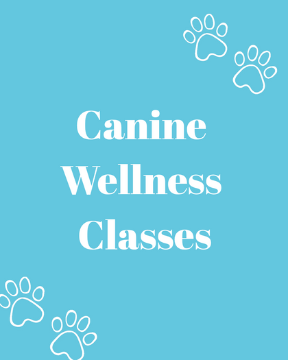 CANINE WELLNESS CLASSES