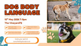 Dog Body Language -  Wednesday 13th May