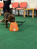 Follow Your Nose Workshop - 17th September