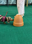 Follow Your Nose Workshop - 17th September