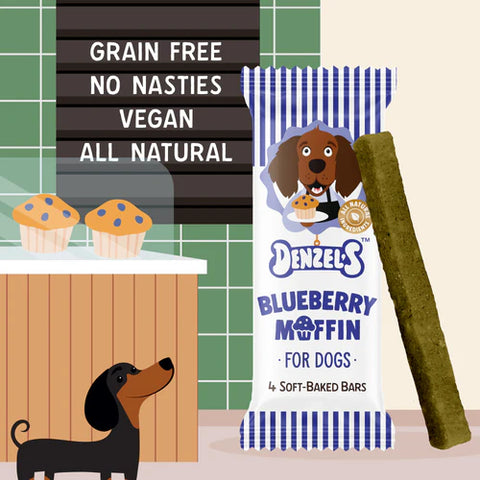 Blueberry Muffin