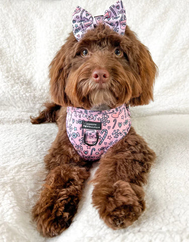Candy Cane Adjustable Harness