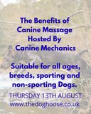 THE BENEFITS OF CANINE MASSAGE - AUGUST 13TH