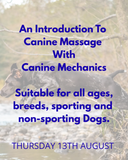 AN INTRODUCTION TO CANINE MASSAGE - AUGUST 13TH