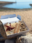 Fishy Box