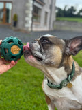 Frodog by Meaty Licks - Size Small