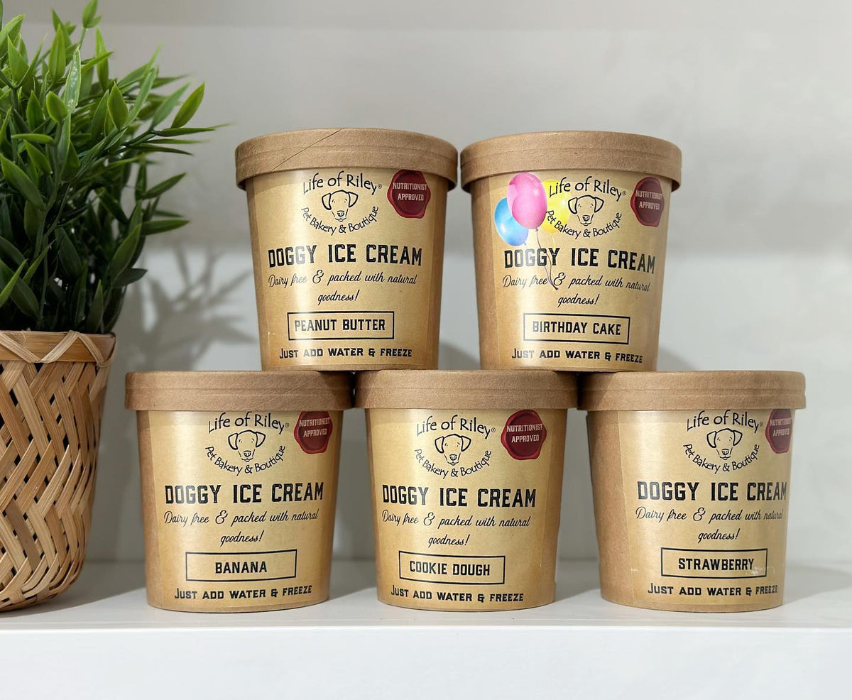 Doggy Ice Cream From Life Of Riley – The Dog Hoose