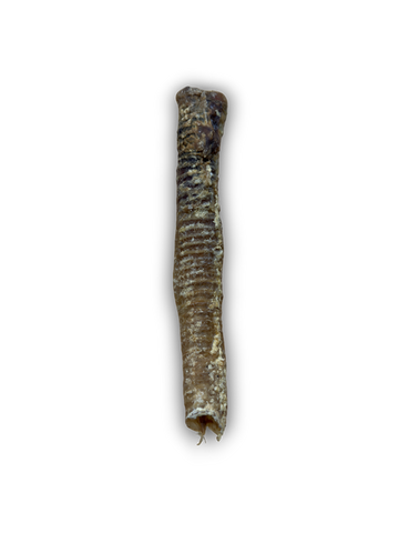Anco Naturals Lamb Tubes