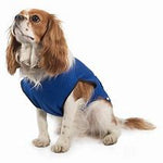 Dog Cooling Coat by Ancol
